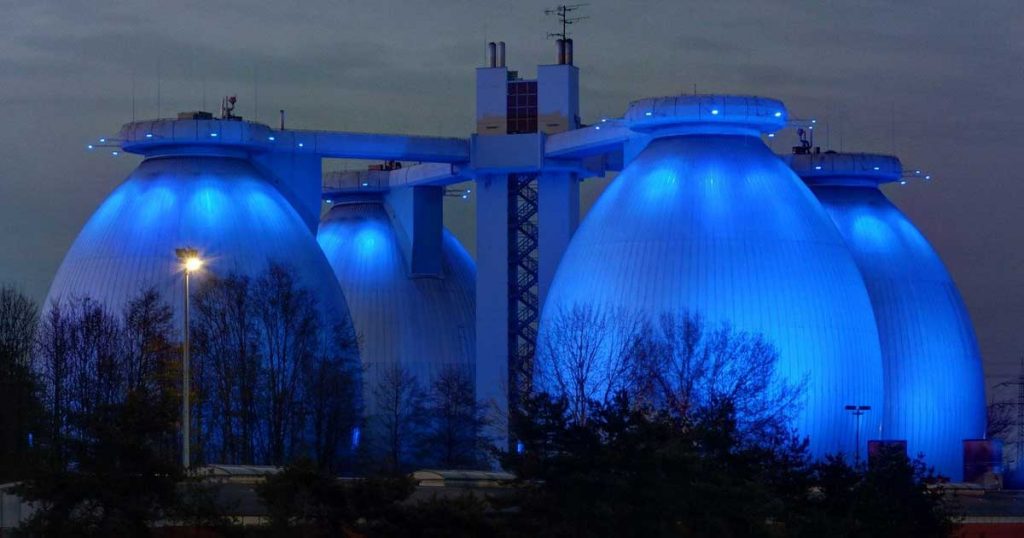 egg-shaped anaerobic digester